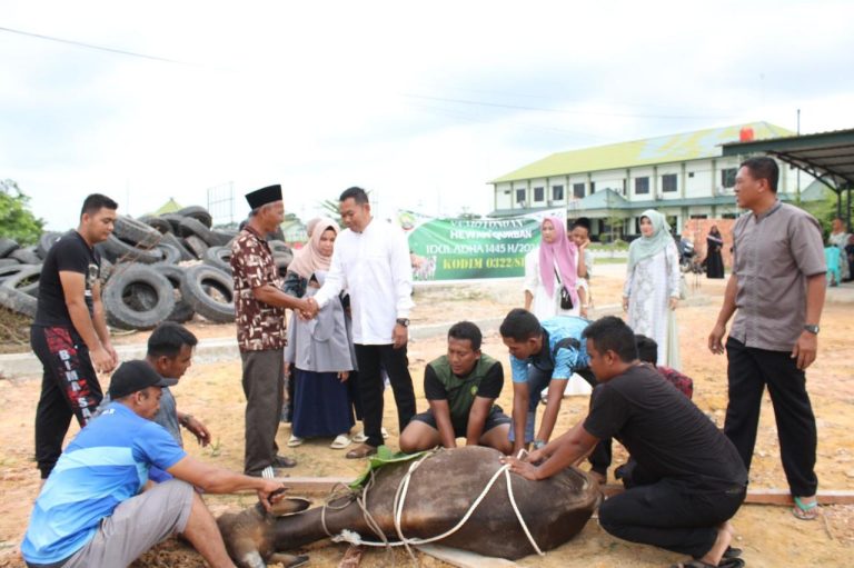 Kodim 0322/Siak Laksanakan Penyembelihan Hewan Kurban dalam Perayaan Idul Adha