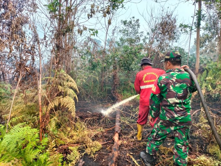 Babinsa Kodim 0322/Siak dan Pemadaman di Kampung Mengkapan berjibaku memadamkan api 