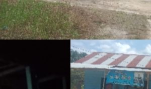 Terkait hiburan malam di koto gasib, ini tanggapan camat koto gasib