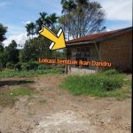 Lapor Pak Kapolda, Ada Judi Tembak ikan di Kandibata Tanah Karo , Bandarnya Berinisial Dandru