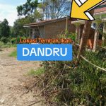 Aktivitas Judi Mesin Milik Dandru Tetap eksis Meskipun Viral di Media Sosial.