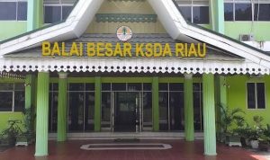 BBKSDA Provinsi Riau Disinyalir Dapat Upeti Hingga Melegalkan Jual Beli Kawasan TWA Buluh Cina Kampar