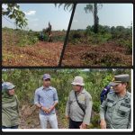 Polhut dan Balai Besar KSDA Riau Tidak Berani Memberikan Tindakan Kepada Perambah Kawasan TWA, Atensi Siapakah? 
