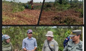 Polhut dan Balai Besar KSDA Riau Tidak Berani Memberikan Tindakan Kepada Perambah Kawasan(  TWA ) Atensi Siapakah? 
