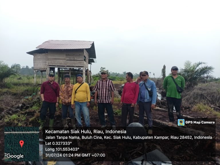 “Tim Penyidik GAKKUM dan Masyarakat Buluhcina Turun Ke Kawasan Yang Menjadi Lokasi Perambahan”