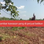Kepala Resort  desa buluh cina BBKSDA provinsi Riau Periode 2022 Tutup Mata juga kuat dugaan terima suap atas kegiatan jual beli lahan 