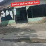 Praktik Judi Tembak Ikan Semakin Merajalela di Simalingkar B Medan.Diduga Kebal Hukum.