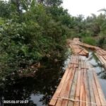 Jul, Adi dan Atok Diduga Menjadi Pelaku Perambahan Liar di Kawasan Hutan Observasi Biosfer Giam Siak Kecil. Aparat Penegak Hukum Kemana..??