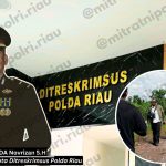 Beku !! Kasus Perambahan Kawasan Tidak Ditindaklanjuti Penyidik Ditreskrimsus Polda Riau, Masuk Angin atau Di Peti Es Kan?