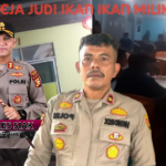 Lapor pak Kapolres !! Sambut hari Bhayangkara ke 79 Kapolsek tulang bebaskan permainan judi Gelper milik ahong