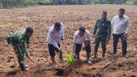 Sinergi Pembinaan dan Produktivitas, Lapas Tebing Tinggi Kembangkan Sarana Asimilasi Bidang Ketahanan Pangan.
