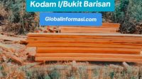 Dugaan Oknum TNI Terlibat Illegal Logging di Cagar Biosfer, Media Minta Atensi Kodam I/Bukit Barisan