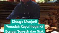 Diduga Menjadi Penadah Kayu Illegal di Sungai Tengah dan Siak Kecil, Damar Dinilai Kebal Hukum