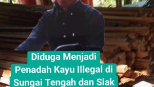 Diduga Menjadi Penadah Kayu Illegal di Sungai Tengah dan Siak Kecil, Damar Dinilai Kebal Hukum