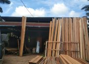 *DIDUGA BISNIS KAYU ILEGAL TAK TERSENTUH HUKUM, PENEGAKAN UU KEHUTANAN DIPERTANYAKAN?*