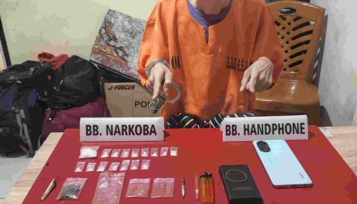 Satresnarkoba Polres Kampar Tangkap Pengedar Sabu-Sabu dan Daun Ganja Kering