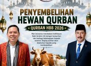 Buat Warga Muslim dan Non-Muslim, Daging Sapi Jumbo Kurban Ormas HBB Dibagi Rata