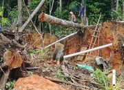 Dugaan Aktivitas PETI Kembali Marak di Nanga Taman Sekadau, inisial KK kordinator lama kembali*