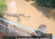 SUNGAI SEKAYU DAN SUNGAI TAYAN MASIH MENGUNING PASCA SIDAK, WARGA TAYAN HULU DESAK PENANGANAN NYATA DAN PEMULIHAN LINGKUNGAN*