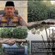 Pandi di duga sebagai Aktor utama pembalakan liar Kayu Mahang di Sungai Rawa,Warga Desak Kapolsek Sungai Apit Proses Secara Hukum